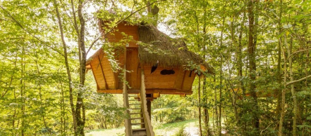 Image d'illustration pour : 12 Une cabane dans les arbres au bois d’amour