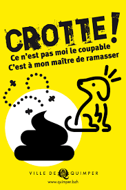 Image d'illustration pour : 11 Nous aimons les chiens mais…