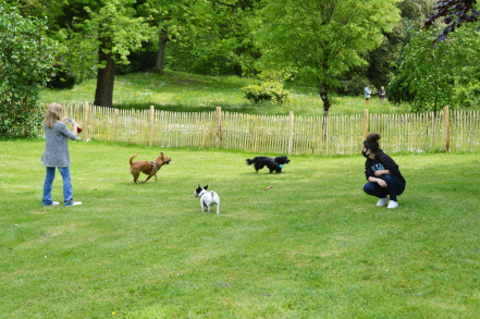 Image d'illustration pour : Parc canin à kerfeunteun