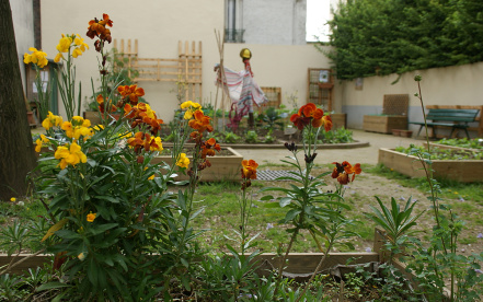 Image d'illustration pour : Semer/ planter/ respirer !