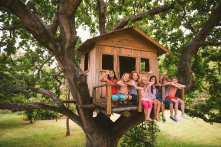 Image d'illustration pour : 44- Des cabanes pour enfants dans les arbres.
