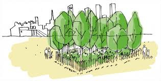 Image d'illustration pour : "Pour nous tous et pour l'avenir" création d'une mini forêt urbaine