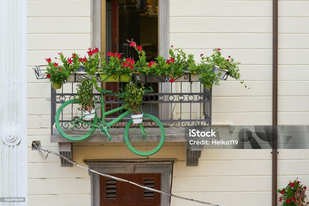 Image d'illustration pour : Projet végétalisation