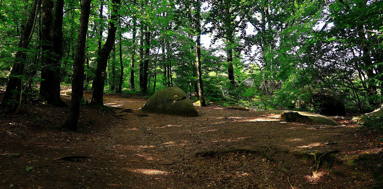 Image d'illustration pour : Projet "chemins et curiosités"