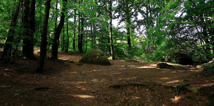 Image d'illustration pour : Projet "chemins et curiosités"