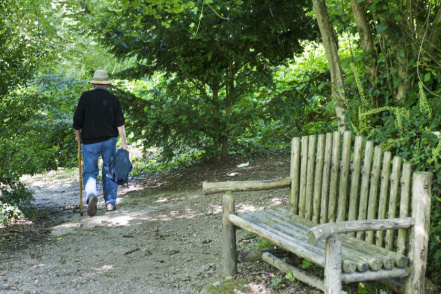 Image d'illustration pour : Projet "bois d'Amour"