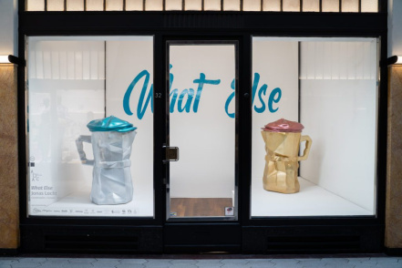 Image d'illustration pour : Projet "vitrines causantes"